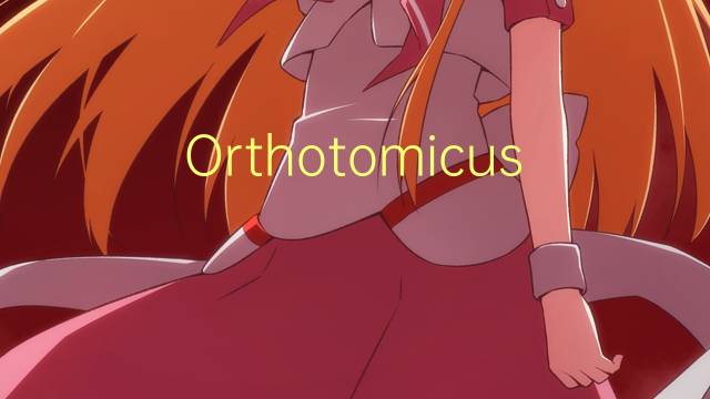 Orthotomicus是什么意思 Orthotomicus的读音、翻译、用法