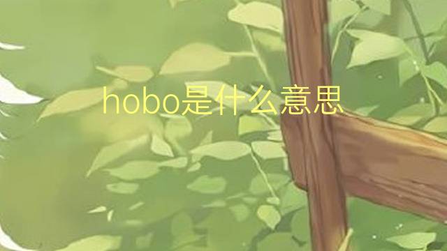 hobo是什么意思 hobo的读音、翻译、用法