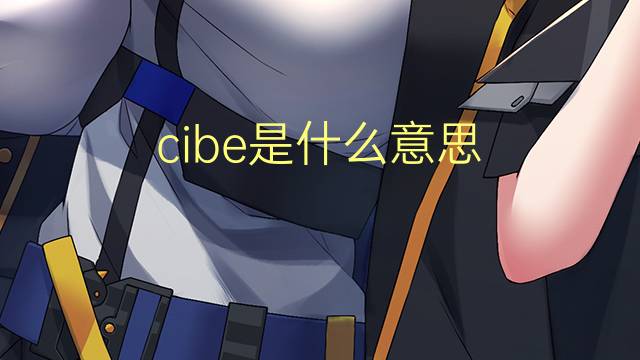 cibe是什么意思 cibe的读音、翻译、用法