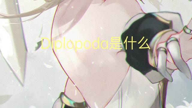 Diplopoda是什么意思 Diplopoda的读音、翻译、用法