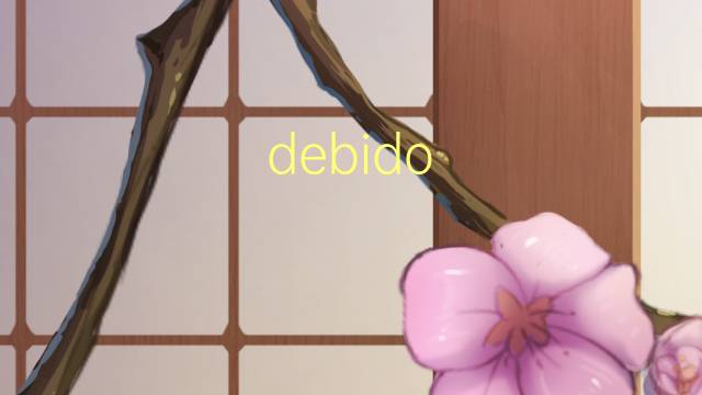 debido proceso是什么意思 debido proceso的读音、翻译、用法