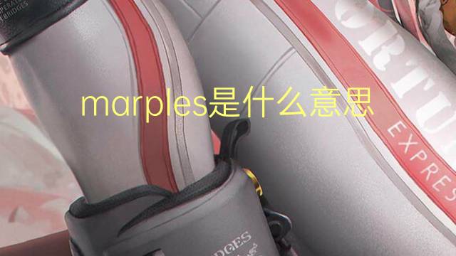 marples是什么意思 marples的中文翻译、读音、例句