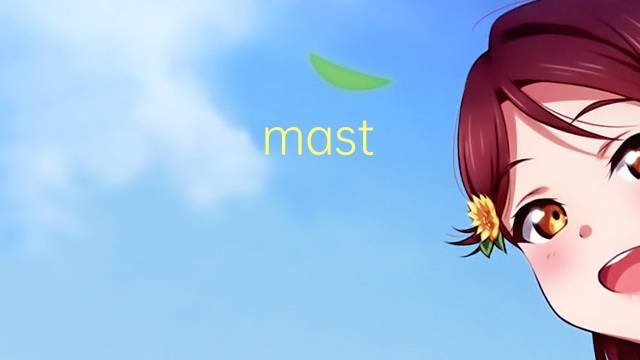 mast stack是什么意思 mast stack的中文翻译、读音、例句