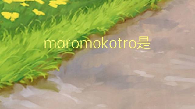 maromokotro是什么意思 maromokotro的中文翻译、读音、例句