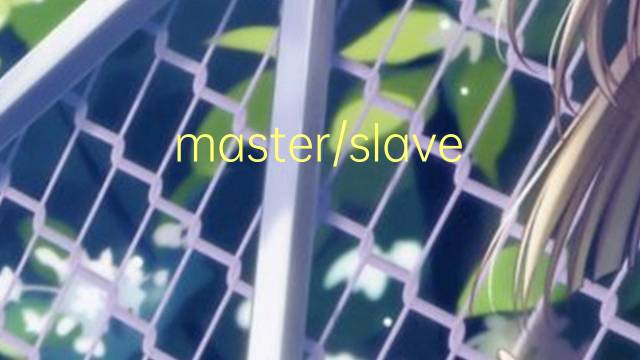 master/slave是什么意思 master/slave的中文翻译、读音、例句