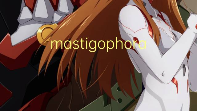 mastigophora是什么意思 mastigophora的中文翻译、读音、例句