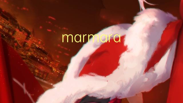 marmara denizi是什么意思 marmara denizi的中文翻译、读音、例句