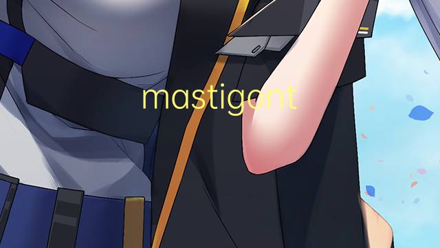 mastigont system是什么意思 mastigont system的中文翻译、读音、例句