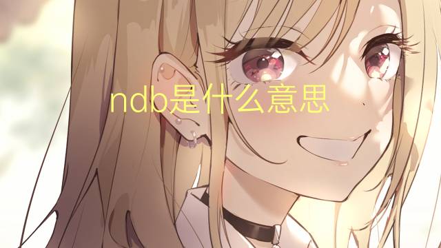 ndb是什么意思 ndb的中文翻译、读音、例句