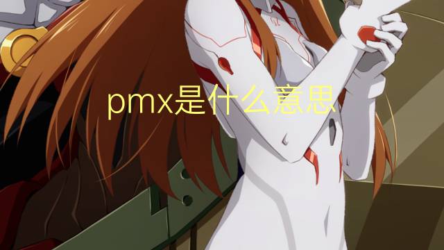 pmx是什么意思 pmx的中文翻译、读音、例句