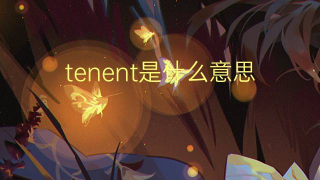 tenent是什么意思 tenent的中文翻译、读音、例句