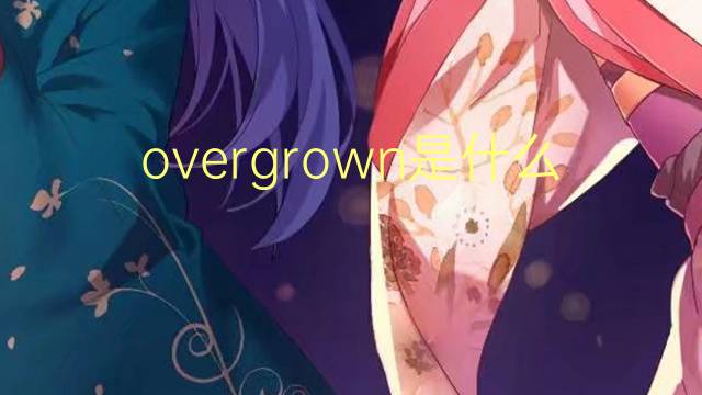 overgrown是什么意思 overgrown的中文翻译、读音、例句