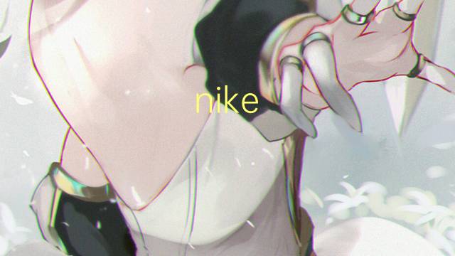 nike dunk sb是什么意思 nike dunk sb的中文翻译、读音、例句