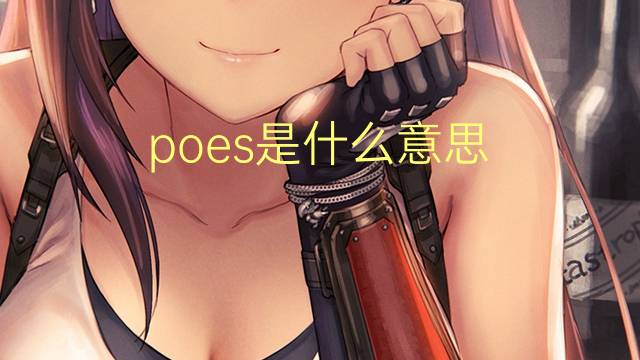 poes是什么意思 poes的中文翻译、读音、例句