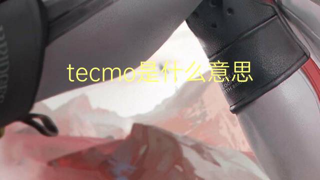 tecmo是什么意思 tecmo的中文翻译、读音、例句