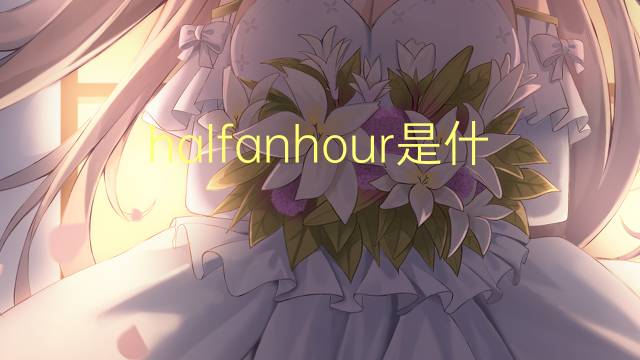 halfanhour是什么意思 halfanhour的中文翻译、读音、例句