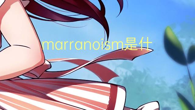 marranoism是什么意思 marranoism的中文翻译、读音、例句