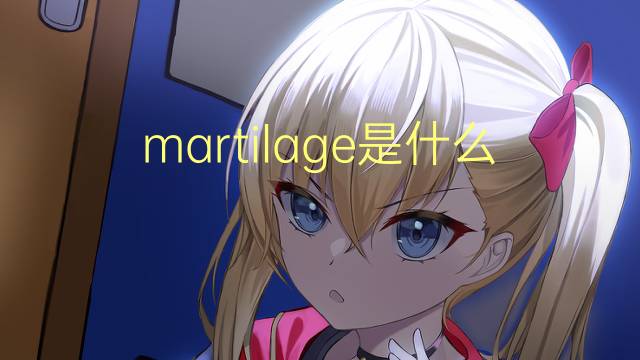 martilage是什么意思 martilage的中文翻译、读音、例句